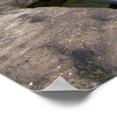 カンバーランド秋州パーク近くのコルビンケンタッキー ポスター (角)