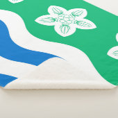 カンバーランド（英国郡） シェルパブランケット (3/4)