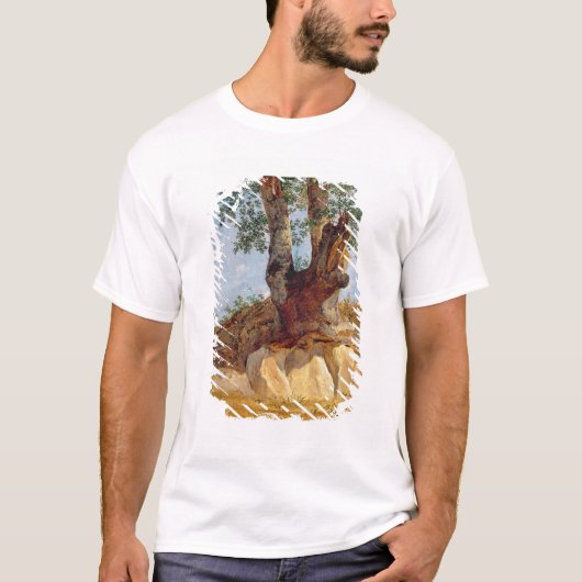カンパニア1822-23年の木 Tシャツ (正面)