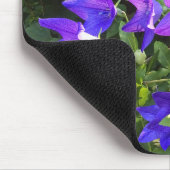 カンパニュラクラスター（ブルーバルーン花） -- マウスパッド (コーナー)