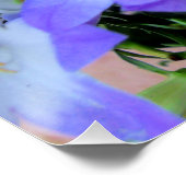 カンパニュラパープルホワイトベルフラワーズ写真 ポスター (コーナー)