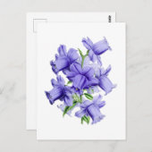 カンパヌラヴィンテージボタニカルポストカード ポストカード (正面/裏面)