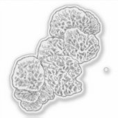 カンパマリアマッシュルームステッカー シール (正面)