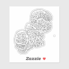 カンパマリアマッシュルームステッカー シール