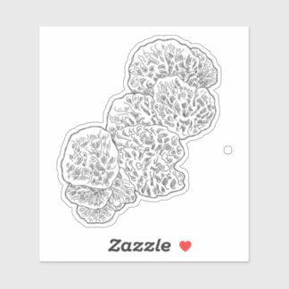 カンパマリアマッシュルームステッカー シール