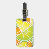 カンファンキーキツウェッジ ラゲッジタグ (正面縦)