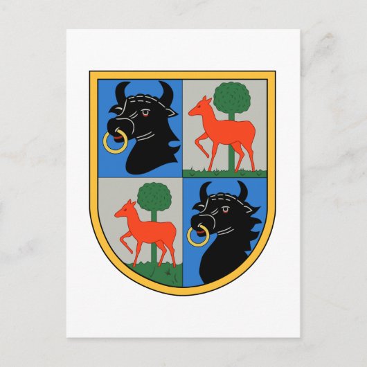 カンフジェシュワダー1ヒンデンブルク ポストカード (正面)