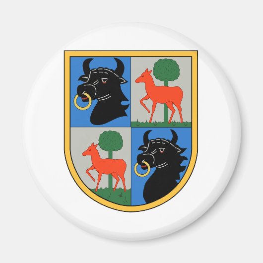 カンフジェシュワダー1ヒンデンブルク マグネット (正面)