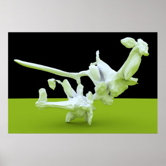 カンフー戦 ポスター