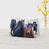 カンブリアン·フェル·ポニーズ カード (黄色い花)