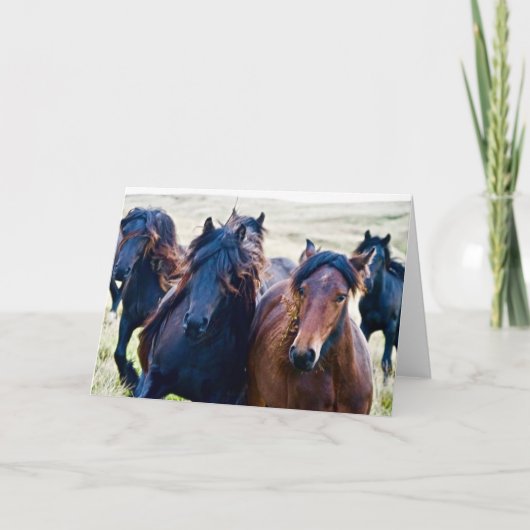 カンブリアン·フェル·ポニーズ カード (正面)