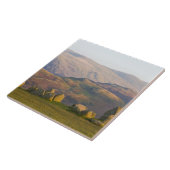 カンブリア州レイクディストリクト、Castlerigg Stone Circle, 2 タイル (側面)