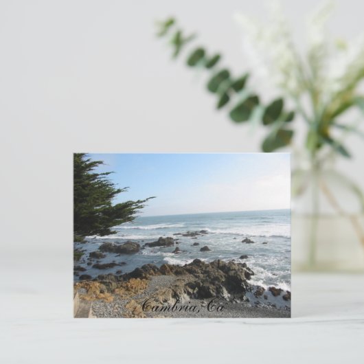 カンブリア ポストカード (スタンド正面)