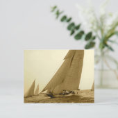 カンブリア ポストカード (スタンド正面)