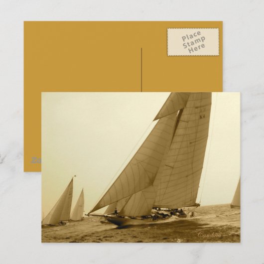 カンブリア ポストカード (正面/裏面)