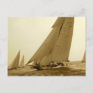 カンブリア ポストカード