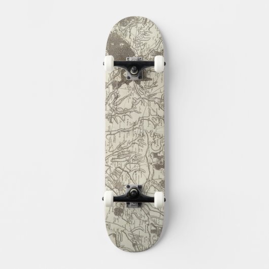 カンブレー スケートボード (正面)