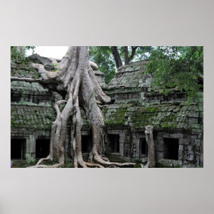 カンボジアのタプロム寺院 ポスター