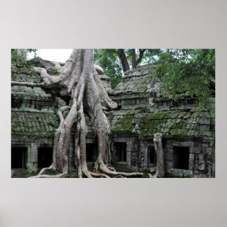 カンボジアのタプロム寺院 ポスター