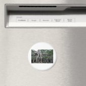 カンボジアのタプロム寺院 マグネット (インサイチュ (食洗機))