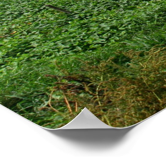 カンボジアの田 ポスター (角)