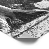 カンボジア アンコール遺跡 タプロームの詳細 ポスター (角)