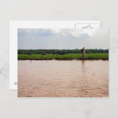 カンボジア，リバーサイド水牛と漁師 ポストカード (正面/裏面)