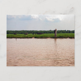 カンボジア，リバーサイド水牛と漁師 ポストカード