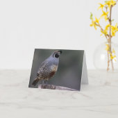 カンムリウズラ-ジョーSweeney -カード カード (黄色い花)