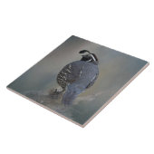 カンムリウズラ タイル (側面)