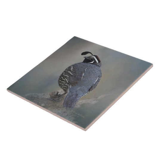 カンムリウズラ タイル (側面)