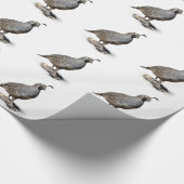 カンムリウズラ ラッピングペーパー (角)