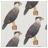 カンムリカラカラのキャラクターイラスト ファブリック (クローズアップ)