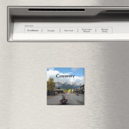 カンモア磁石 マグネット (インサイチュ (食洗機))