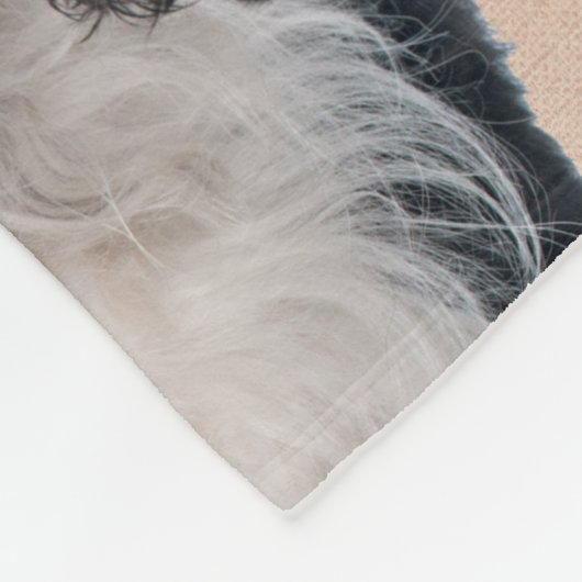 カヴァリエキングチャールズスパニエル犬ドッグズハウスホーム フリースブランケット (角)