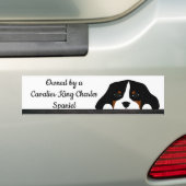 カヴァリエキングチャールズスパニエル犬ワンピードッグ バンパーステッカー (車上)
