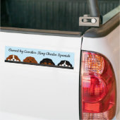 カヴァリエキングチャールズスパニエル犬 バンパーステッカー (トラック上)