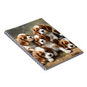 カヴァリエスパニエル犬の子犬たちは愛らしい。 ノートブック (右側)