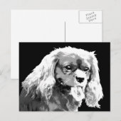カヴァリエスパニエル犬はがき ポストカード (正面/裏面)