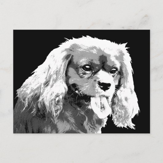 カヴァリエスパニエル犬はがき ポストカード (正面)