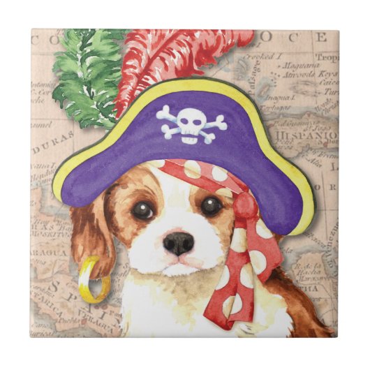 カヴァリエ海賊 タイル (正面)