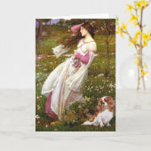 カヴァリエ2 (Bl) -ウィンドフラワー カード (黄色い花)