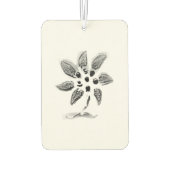 カーエアーフレッシュナーアート及びデザイン カーエアーフレッシュナー (裏面)