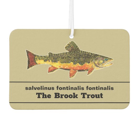 
 ... カーエアーフレッシュナー (正面)