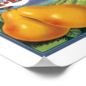 カーカスランチバートレット梨 ポスター (角)