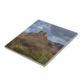 カーサグランデピークチソスベインビッグベンド タイル (側面)