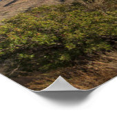 カーサグランデピーク、チソスベイスン、ビッグベンド ポスター (角)