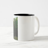 カーサデプエブロディブジョトスカーニイタリアカントリーサイド ツートーンマグカップ (正面右)