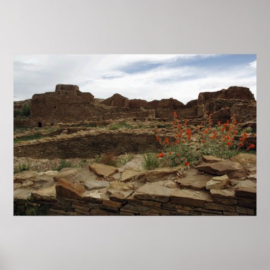 カーサリンコナダのポスター ポスター (正面)