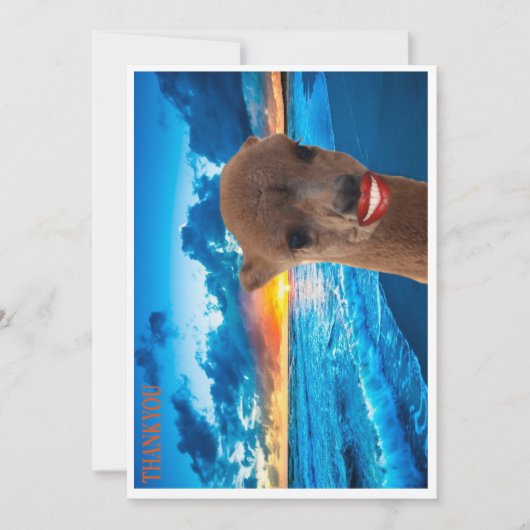 カーサンキュード サンキューカード (正面)